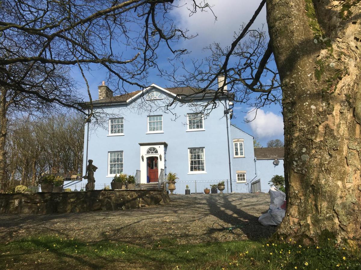 Crug Glas Country House St Davids Eksteriør billede