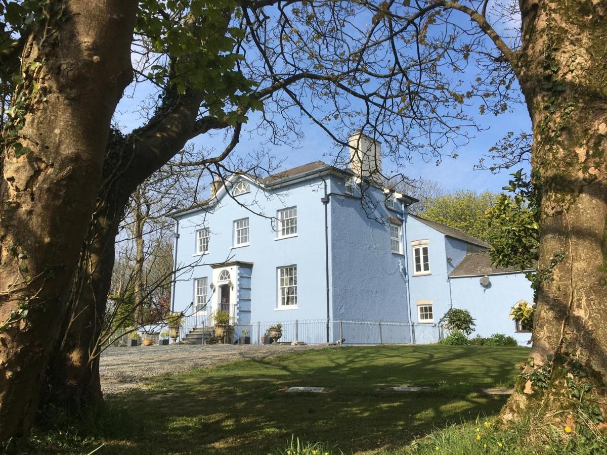 Crug Glas Country House St Davids Eksteriør billede