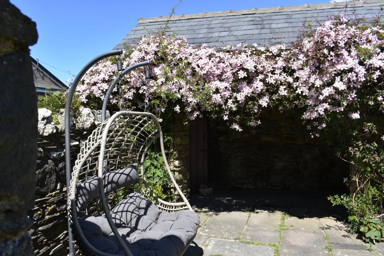 Crug Glas Country House St Davids Eksteriør billede