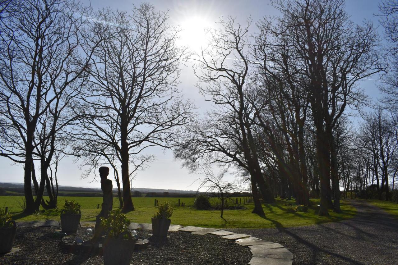 Crug Glas Country House St Davids Eksteriør billede