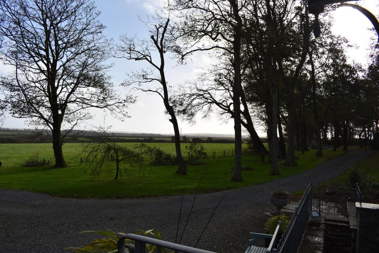 Crug Glas Country House St Davids Eksteriør billede