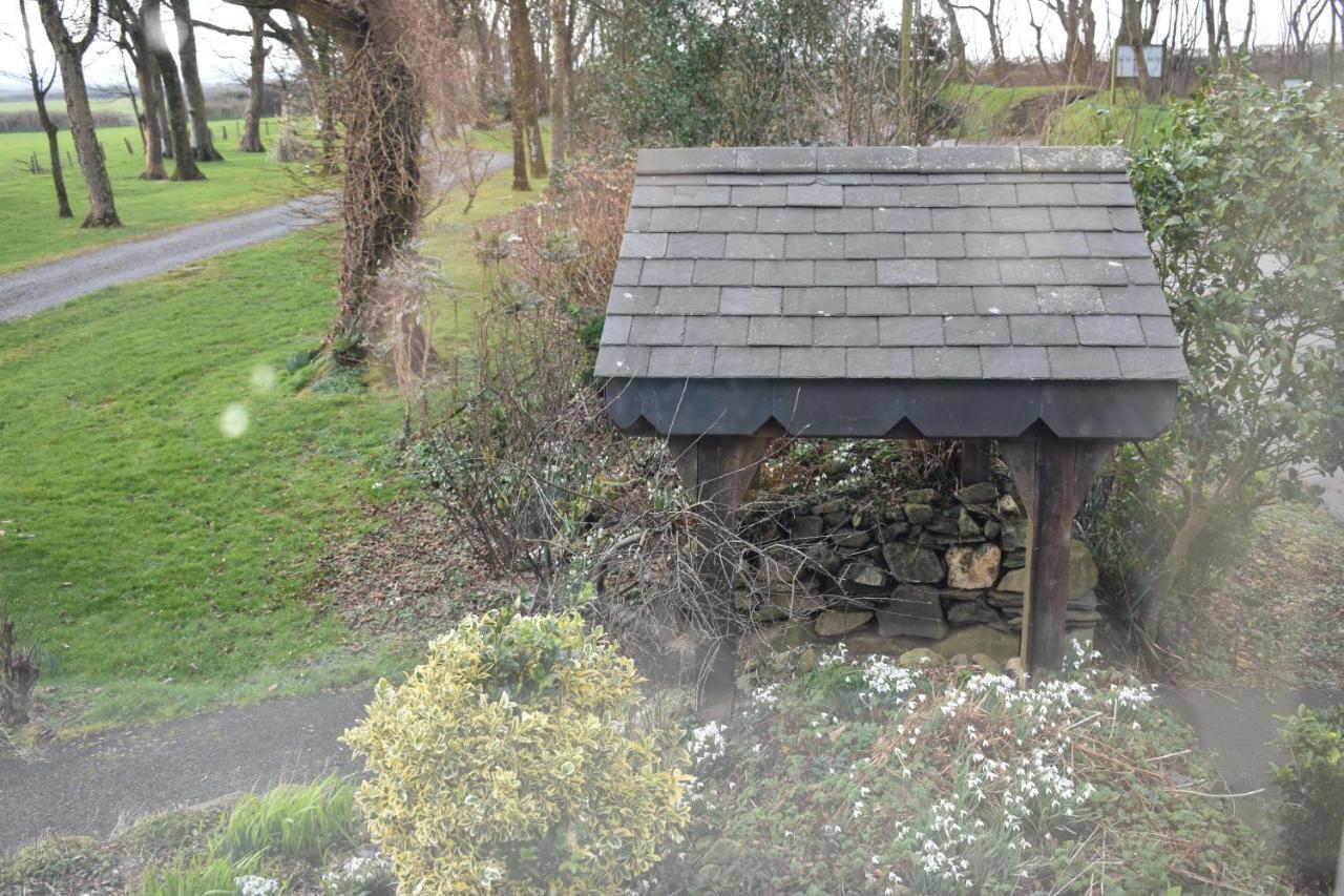 Crug Glas Country House St Davids Eksteriør billede