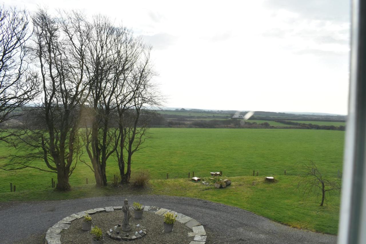 Crug Glas Country House St Davids Eksteriør billede