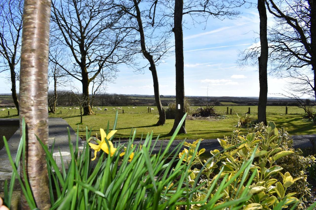 Crug Glas Country House St Davids Eksteriør billede